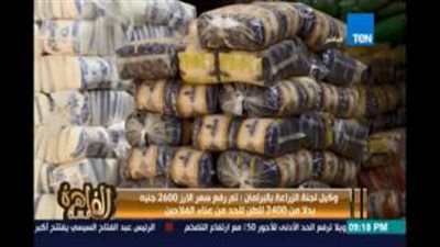 «زراعة النواب»: رفع سعر طن الأرز لـ 2600 جنيه