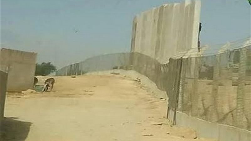الجدار الجزائري
