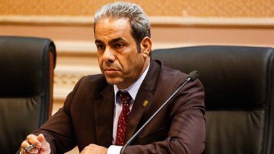 نائب يتهم وزير قطاع الأعمال بمشاركة مافيا الأراضي في المطرية