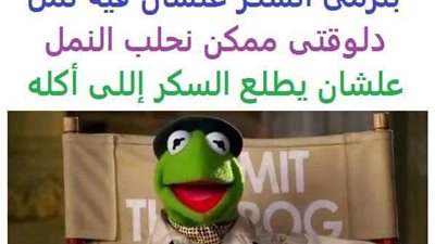 ساخرون.. الله يرحم أيام ما كنا بنرمى السكر علشان فيه نمل