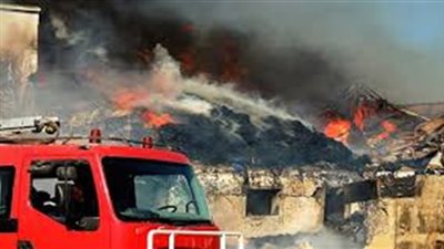 نفوق 5 آلاف «كتكوت» في حريق التهم مزرعة دواجن بالإسكندرية