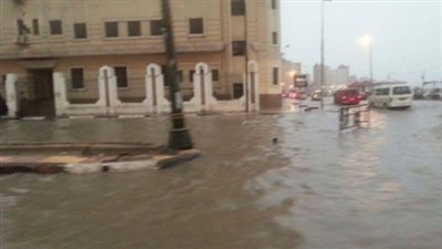 وزير الزراعة: ارتفاع منسوب الأمطار إلى 500 مليمتر العام الجاري