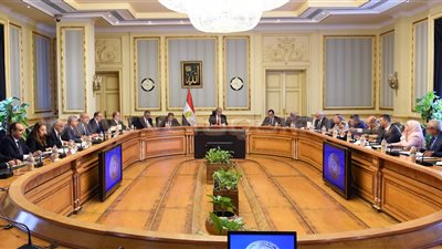 رئيس الوزراء يرأس اجتماعا لبحث المشروعات التنموية بأسوان