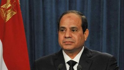 السيسي يستعرض «رؤية مصر 2030» مع هيلين كلارك
