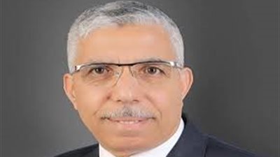 الغباشي: تخصيص 20% من أسهم شركات قطاع الأعمال للاكتتاب