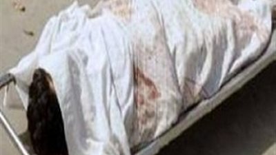 مقتل أحد مشايخ قبيلة 