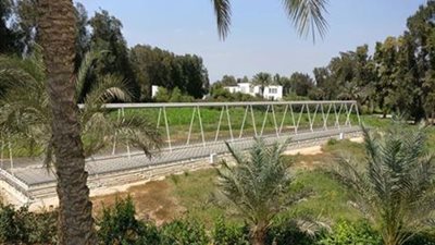 «البحث العلمي» تفتتح محطة طاقة شمسية بالشرقية.. الجمعة