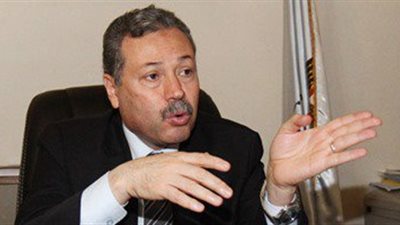 محب الرافعي يضع روشتة تطوير التعليم