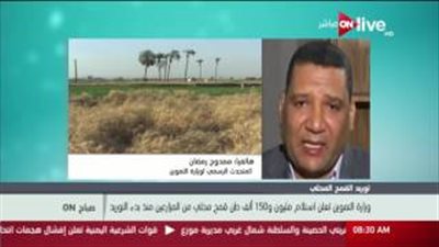 بالفيديو.. التموين: استلام القمح على 3 درجات نظافة