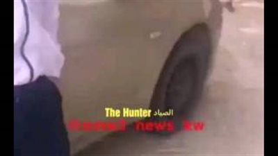 بالفيديو.. لحظة هجوم كويتية على رجل بسبب «خروف»