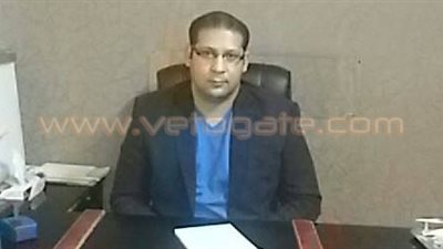 استشاري عظام: «الخلايا الجذعية» العلاج التجديدي الأمثل لـ «خشونة الركبة»