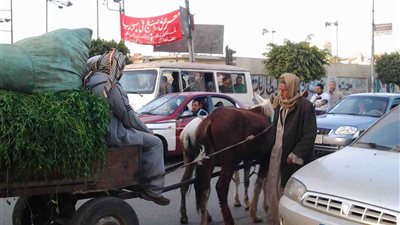 فوضى عارمة في شوارع الزقازيق وغياب تام للأمن