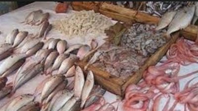 تباين أسعار الأسماك.. والبوري يسجل 45 جنيها بسوق الجملة