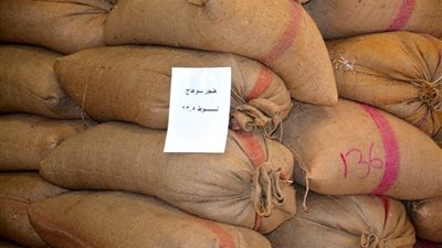 توريد 37 ألفا و325 طن قمح لشون وصوامع سوهاج