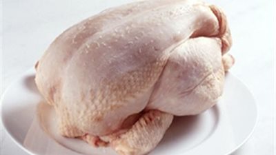 21 جنيهًا سعر كيلو الدواجن بالمزارع