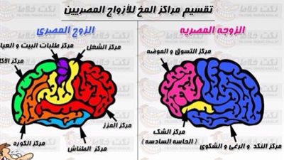 ساخرون.. تقسيم مراكز المخ للأزواج المصريين