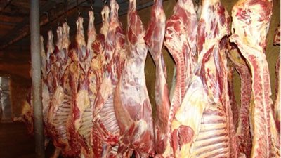 تباين أسعار اللحوم.. والكندوز يسجل 110 جنيهات في مطروح