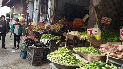استقرار أسعار الخضراوات بسوق الجملة.. والكوسة بـ4 جنيهات