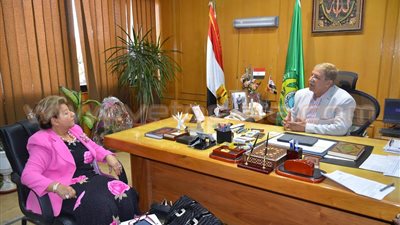 المحافظ ونائبة الإسماعيلية يناقشان نقل الورش الحرفية من المدينة