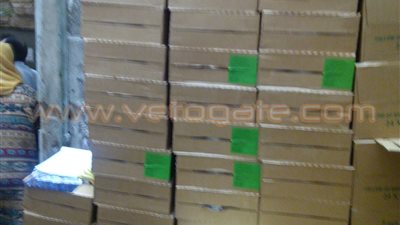 بالفيديو.. الرقابة الإدارية تضبط شركة تخزن أدوية داخل «منور»