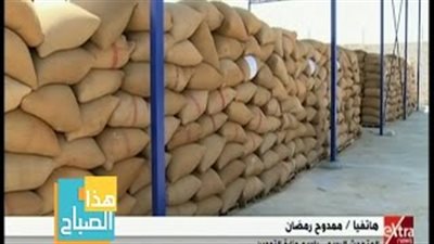 «التموين»: ميزانية شراء القمح المحلي تصل لـ14 مليار جنيه