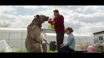 بالفيديو والصور.. أشخاص يعيشون بصحبة حيوانات مفترسة