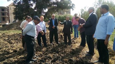 «البحيرة» تراقب حرائق قش الأرز بالاقمار الصناعية و«واتس آب»