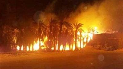 حريق هائل يلتهم 10 أفدنة نخيل بالداخلة