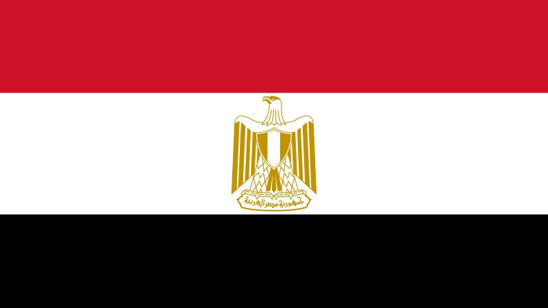فيتو