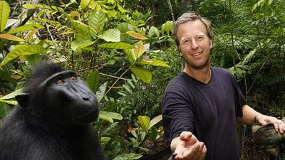 صورة سيلفي لقرد تربك حياة ملتقطها