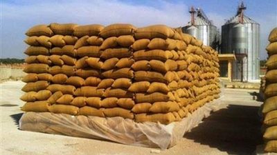 توريد 121 ألف طن قمح بعد حصاد ربع مليون فدان بالبحيرة