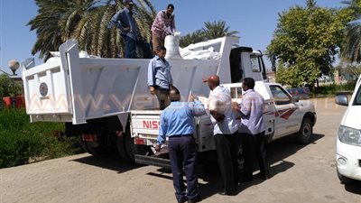 بالصور.. سيارات حكومية تبيع السكر بـ6 جنيهات بالوادي الجديد