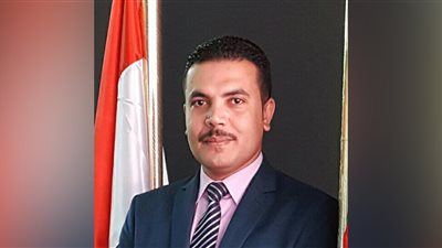 محام: ميكنة المحاكم «ضرورة»