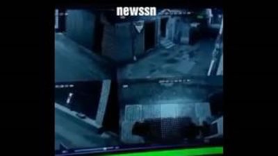 بالفيديو.. «كلاب» وراء سرقة أحذية سعوديين أثناء الصلاة