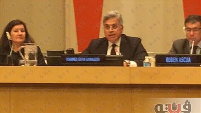 محمد عرفان وسحر نصر خلال مشاركتهما باليوم العالمى للمشروعات الصغيرة والمتوسطة بنيويورك: مصر سوق واعد للاستثمار في كافة المجالات.. الحكومة اتخذت خطوات رئيسية لتعزيز ريادة الأعمال