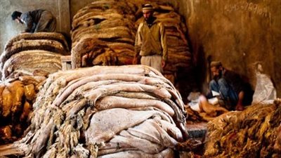 اختتام فعاليات المعرض الدولي للجلود