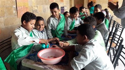 البيئة: وحدة الركن الأخضر تبدأ برامج لتوعية طلبة المدارس