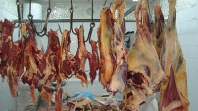 إزالة 34 شادرًا لبيع اللحوم العشوائية بالشرقية