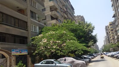 بالفيديو.. سعر متر الشقق التمليك بمصطفى النحاس في مدينة نصر