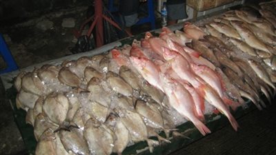 البلطي الأسواني يسجل 17 جنيها بسوق العبور.. اليوم