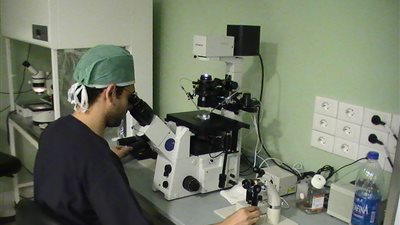 أمل جديد لمرضى الأورام في مصر.. دراسة تكشف عن دور مركبات التترالين في علاج سرطان الكبد والثدي.. وطالب يخترع جهاز لعلاج فيروس 