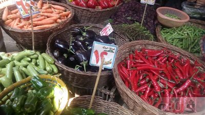 بالصور.. انخفاض أسعار الأسماك والفاكهة بسوق الجيزة