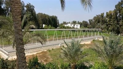 اليوم.. افتتاح أول محطة حرارية لإنتاج الكهرباء بالشرقية