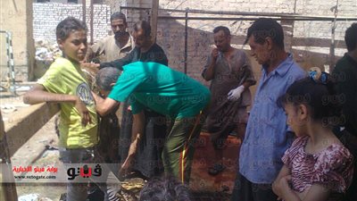 بالفيديو والصور.. نحر الذبائح فى عيد العذراء بأسوان