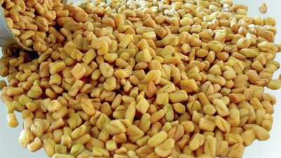 «الحلبة» لعلاج مرضى «السكري»