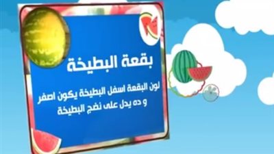 بالفيديو.. 5 نصائح لشراء «بطيخة حمراء»
