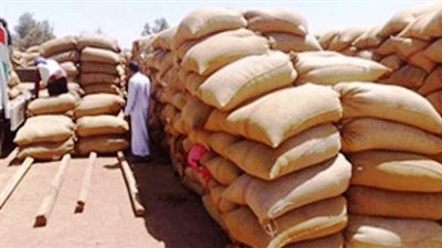 توريد 46 ألف طن قمح لشون وصوامع سوهاج