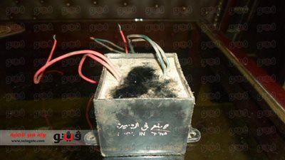 بالصور.. جسم غريب يثير الرعب بـ