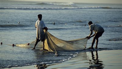 دراسة: الأسماك لا تشعر بالألم عند صيدها