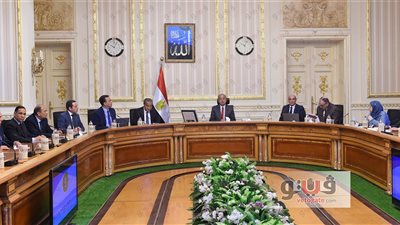 الحكومة: تحديث بيانات بطاقات التموين مجانًا.. و30 يونيو آخر موعد